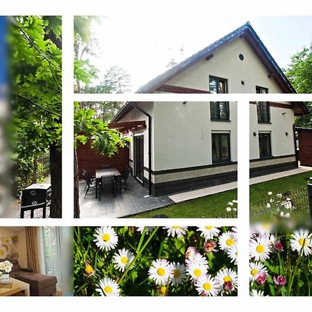 Daisy - Sunny Flowers Apartments Łukęcin Kültér fotó